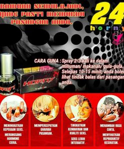 HORNY 24 6 HORNY 24
