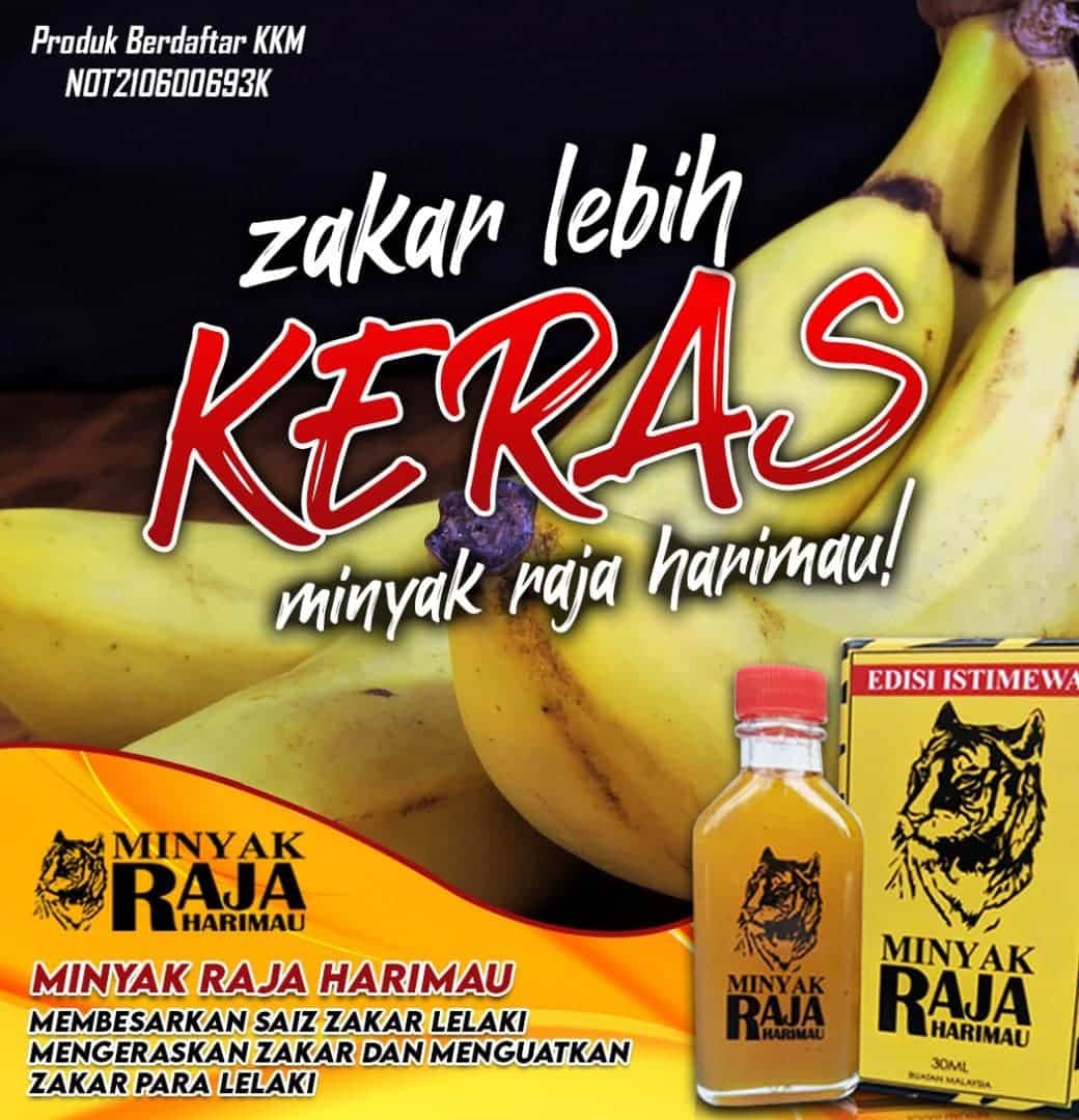 minyak raja harimau