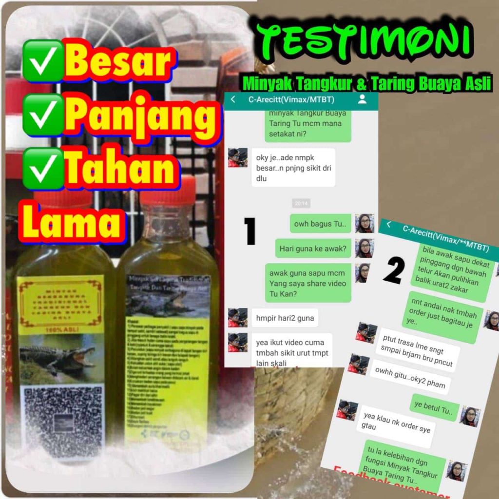 MINYAK TANGKUR BUAYA TARING 8 MINYAK TANGKUR BUAYA TARING