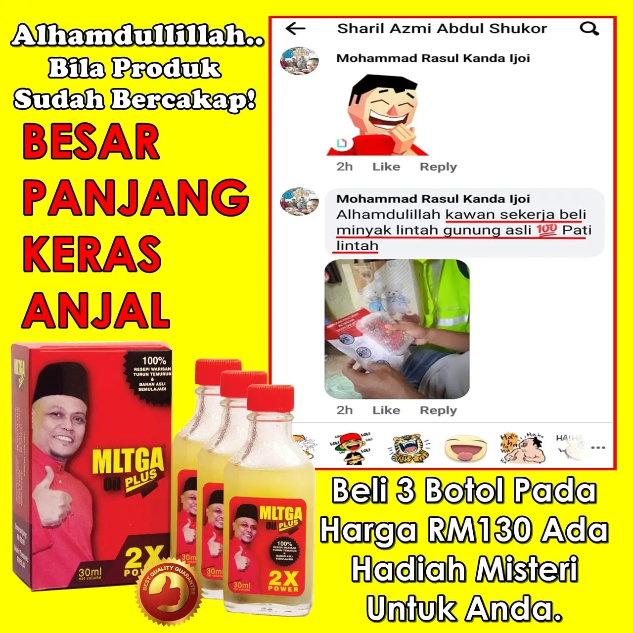 MINYAK LINTAH TRADISI GUNUNG ASLI