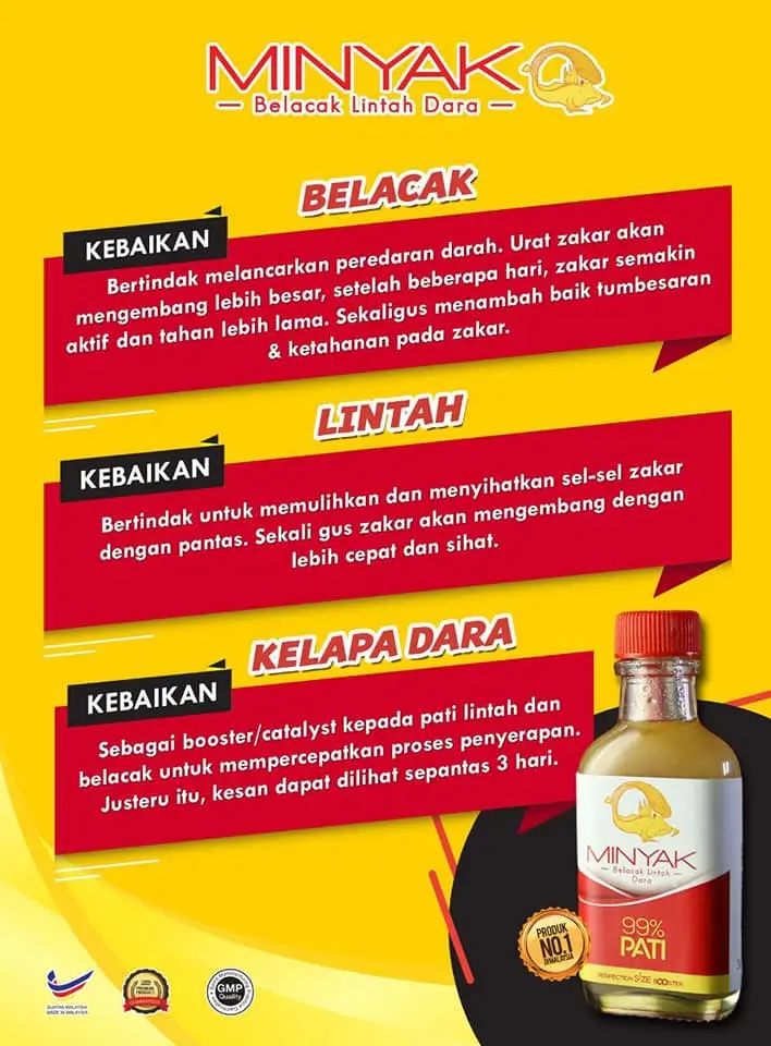 MINYAK BELACAK LINTAH DARA 5 LINTAH