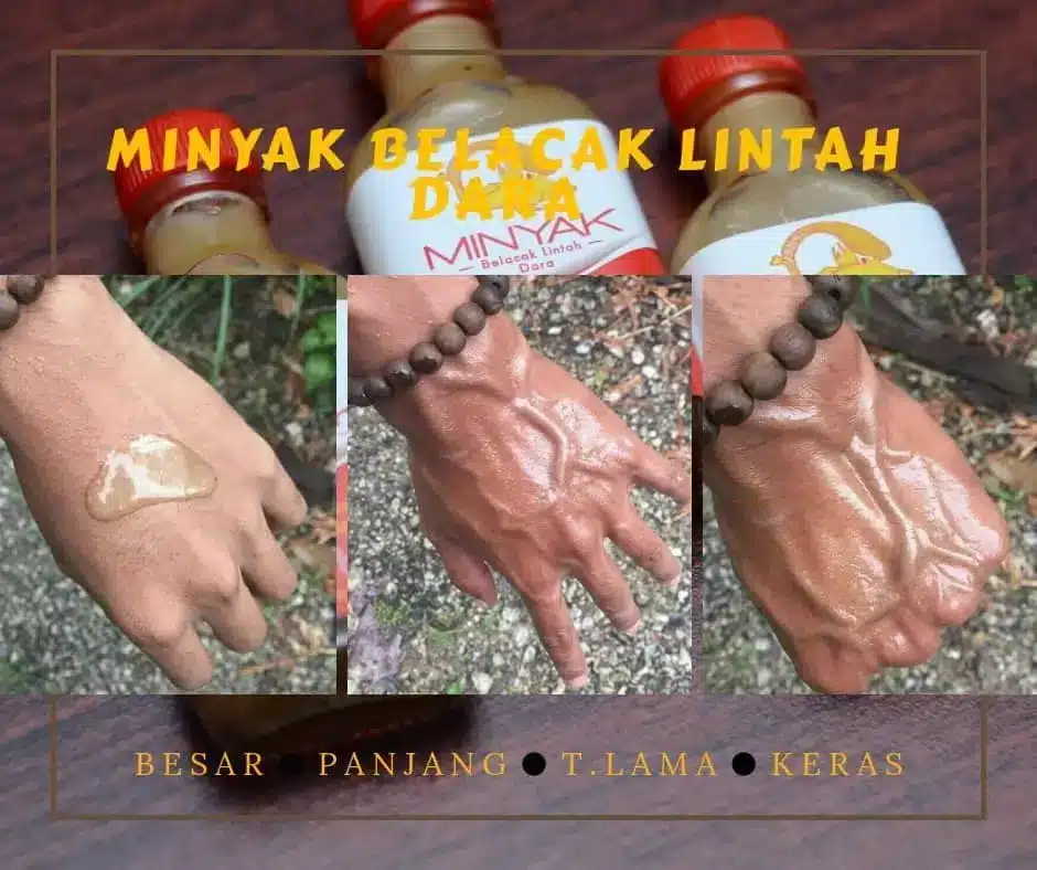MINYAK BELACAK LINTAH DARA 2 MINYAK BELACAK LINTAH DARA